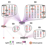 Differential co-expression-based detection of conditional relationships in transcriptional data: comparative analysis and application to breast cancer