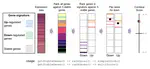 Stable gene expression for normalisation and single-sample scoring