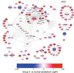Systems pharmacogenomics identifies novel targets and clinically actionable therapeutics for medulloblastoma