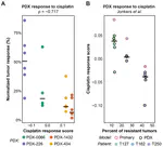 Computational Screening of Anti-Cancer Drugs Identifies a New BRCA Independent Gene Expression Signature to Predict Breast Cancer Sensitivity to Cisplatin