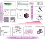 vissE: A versatile tool to identify and visualise higher-order molecular phenotypes from functional enrichment analysis