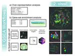 vissE.cloud: a webserver to visualise higher order molecular phenotypes from enrichment analysis