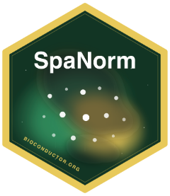 SpaNorm hex sticker