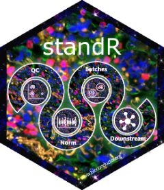standR hex sticker