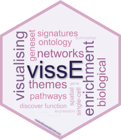 vissE hex sticker