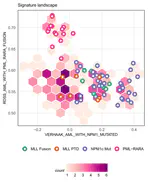 Using singscore to predict mutation status in acute myeloid leukemia from transcriptomic signatures